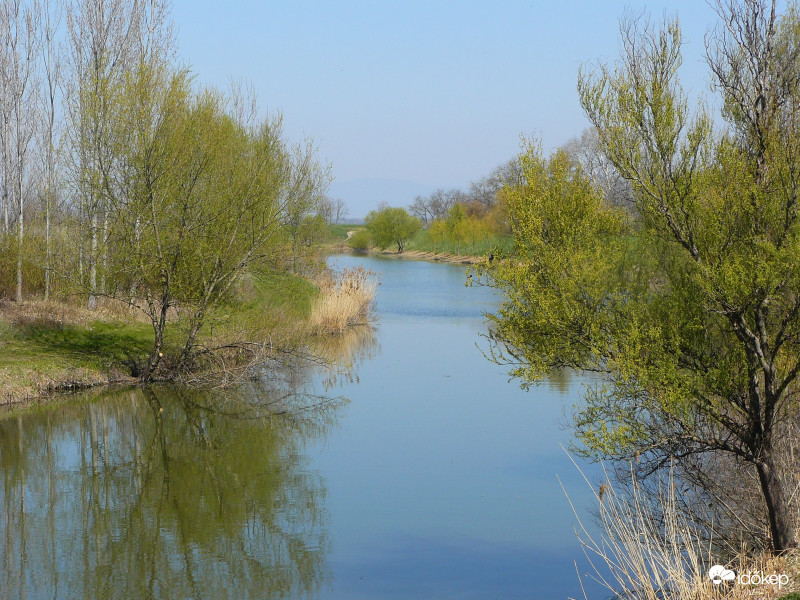 Horgásztó