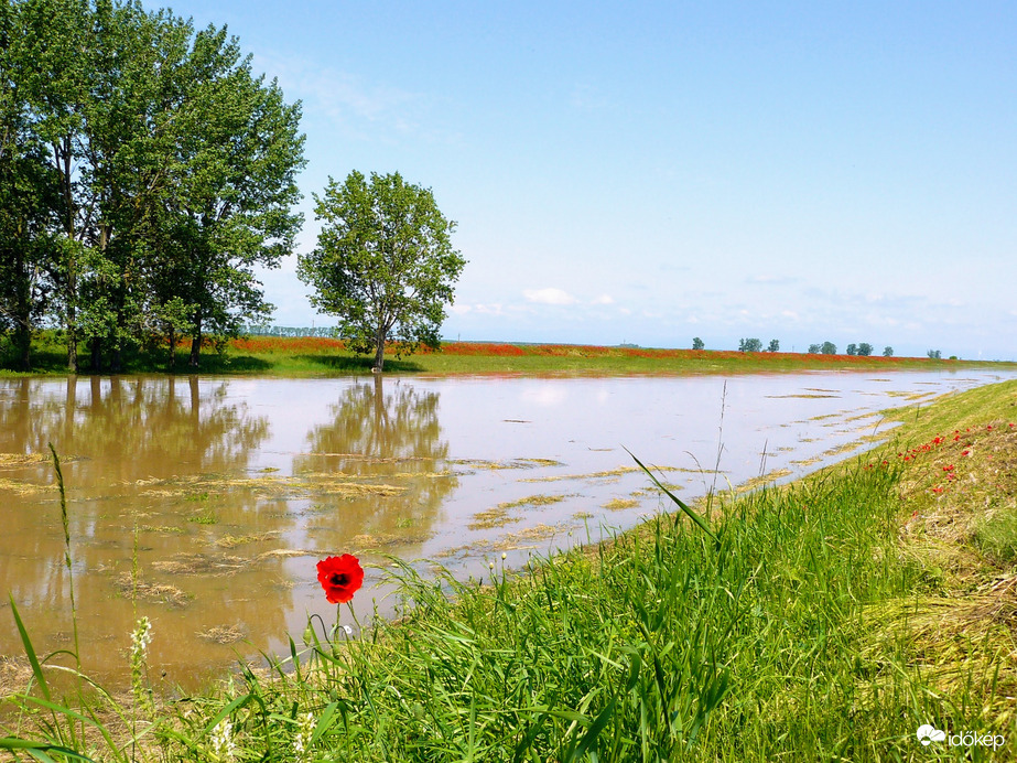 Tarna part esőzések után