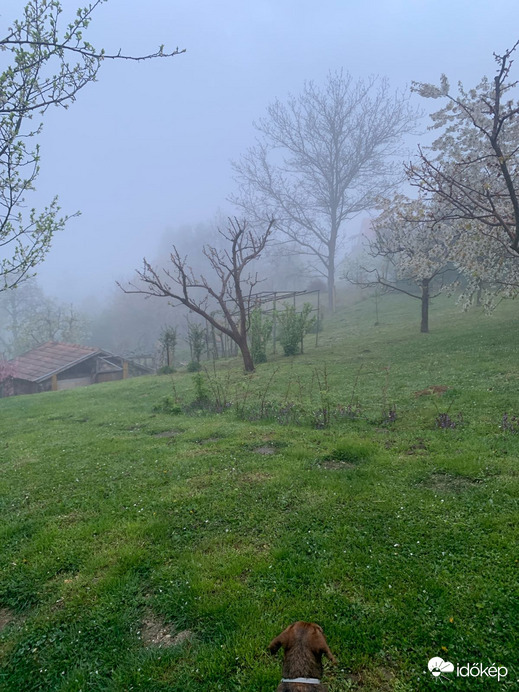Bakonybél