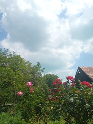 Balatonfüred