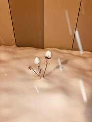 Budapest X.ker - Kőbánya