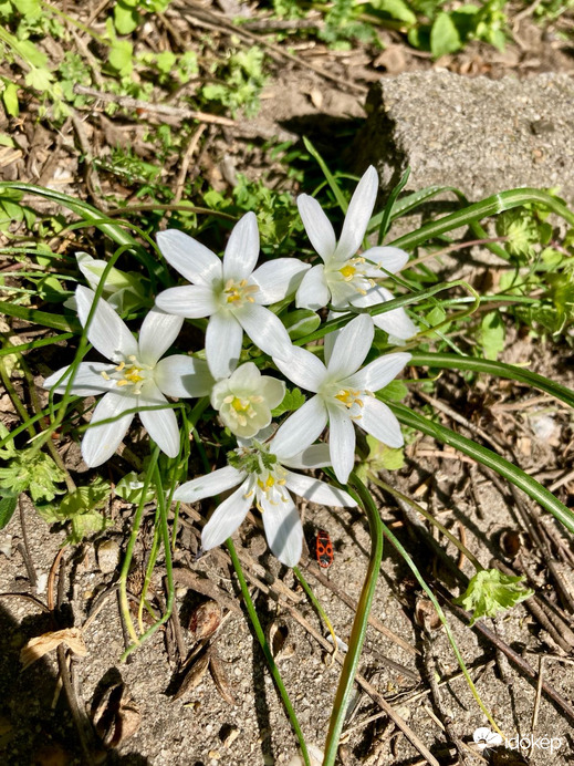 Budapest IV.ker - Újpest