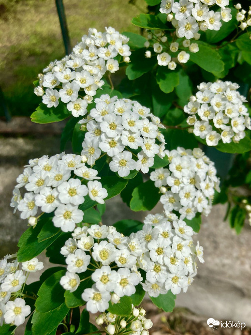 Budapest IV.ker - Újpest