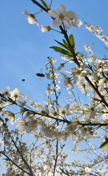 Budapest IV.ker - Újpest
