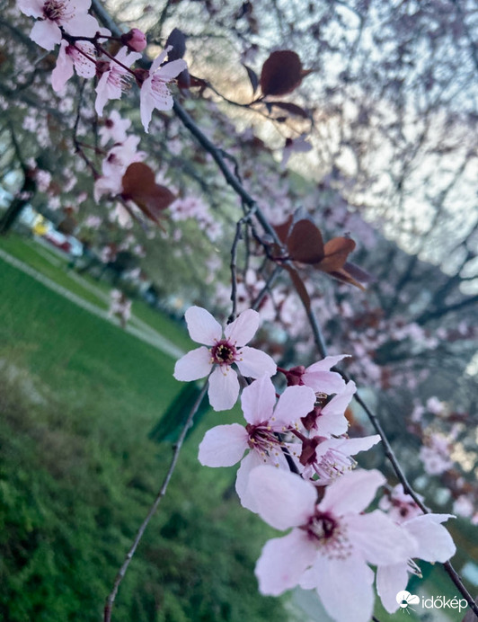 Budapest IV.ker - Újpest