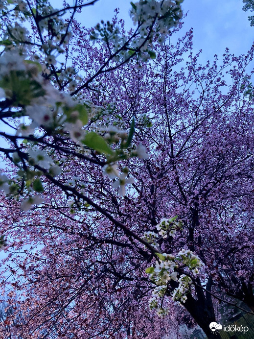 Budapest IV.ker - Újpest