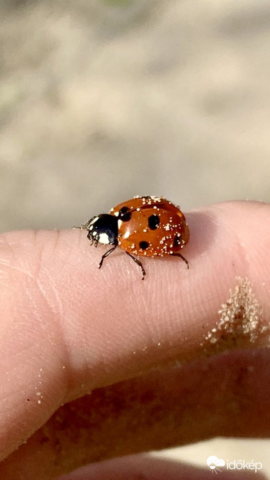 Budapest IV.ker - Újpest