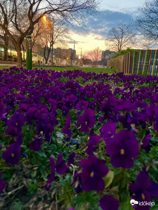 Budapest IV.ker - Újpest