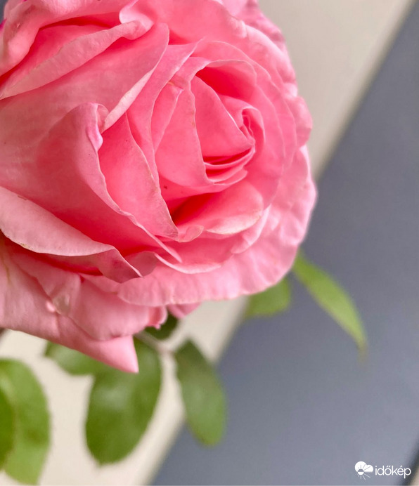 Budapest IV.ker - Újpest