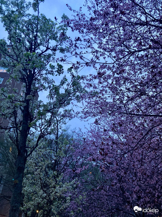 Budapest IV.ker - Újpest