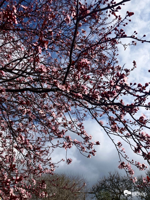 Budapest IV.ker - Újpest