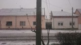 Pápa