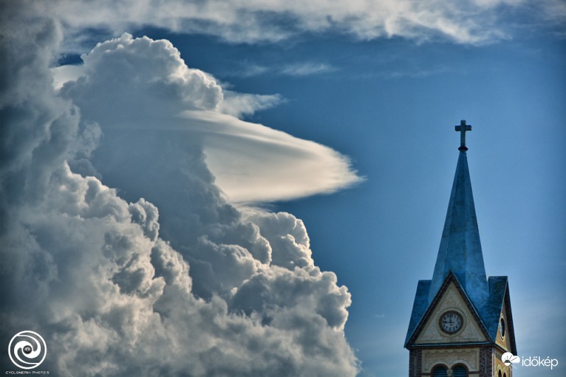 Pileus