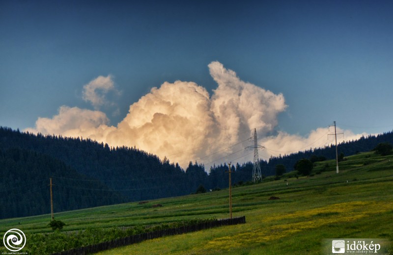Cumulus nyúlusz