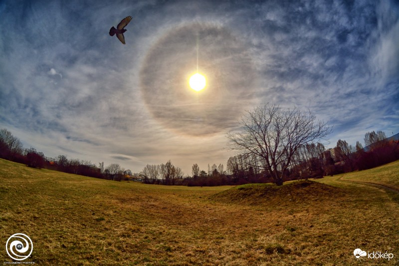 Halo