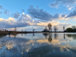 Tükröződés 