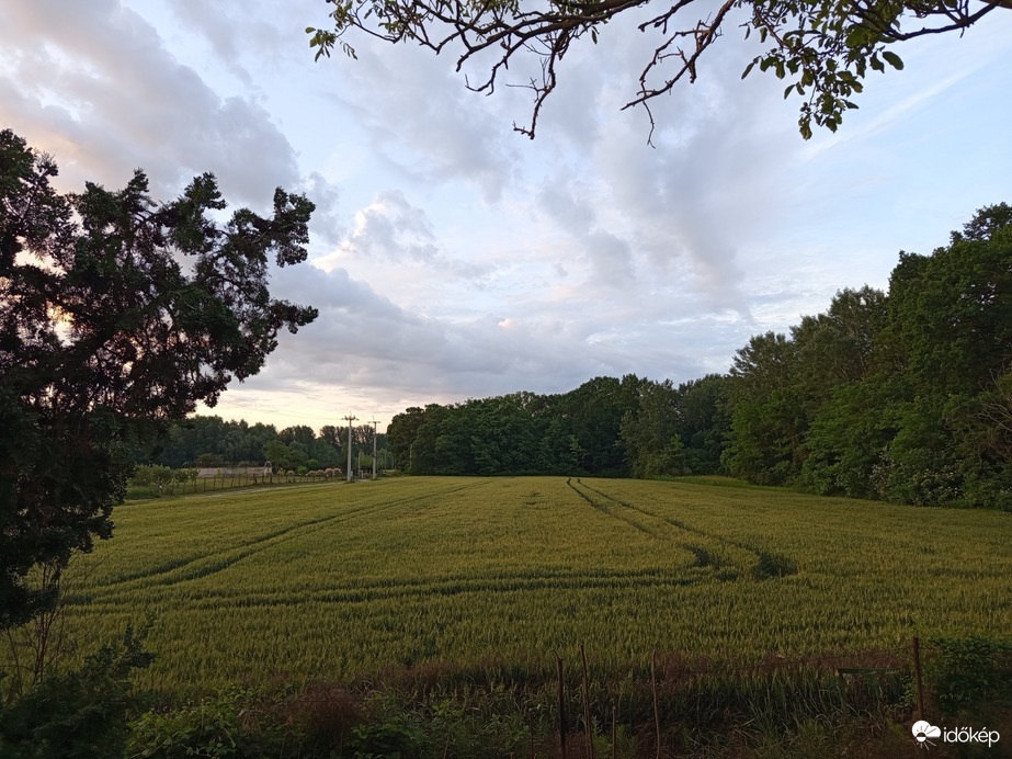 Szigetbecse