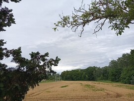 Szigetbecse