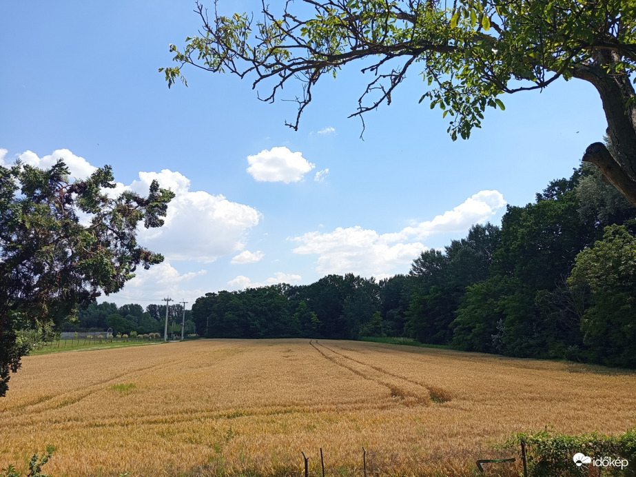 Szigetbecse