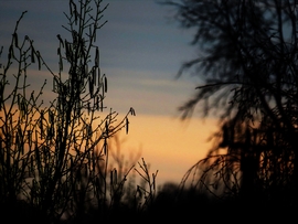 DÁNY - TÁVOLI FELHŐZET NAPKELTE