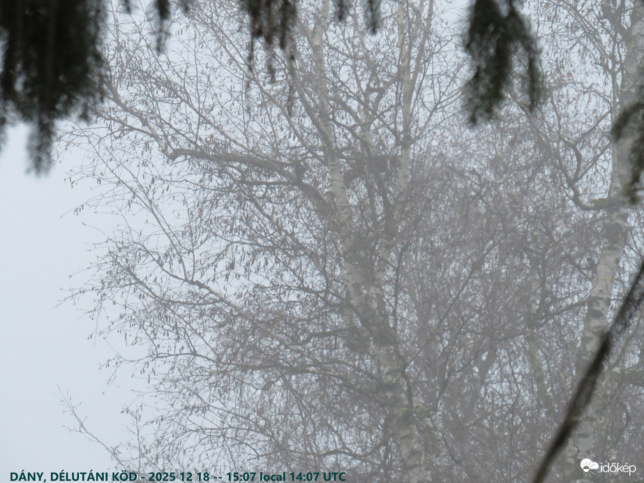 Dány_délutáni köd