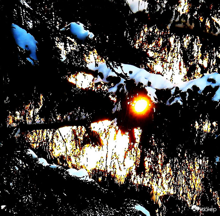 DÁNY, A NYUGVÓ NAP KUKUCSKÁL AZ ÁGAK MÖGÜL 2026 01 08