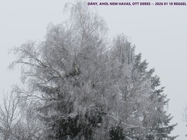 DÁNY, SZÜRKE, HIDEG REGGEL (2026 01 10)