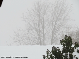 DÁNY,  KÖDÖS REGGEL -- 2026 01 16 reggel