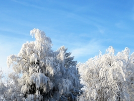 DÁNY, FELHŐTLEN REGGEL -- 2026 01 21