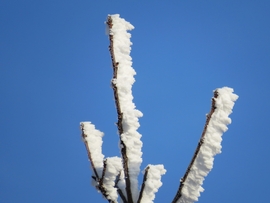 DÁNY, JÓL LÁTHATÓ AZ URALKODÓ LÉGÁRAMLÁS IRÁNYA -- 2026 01 21 reggel