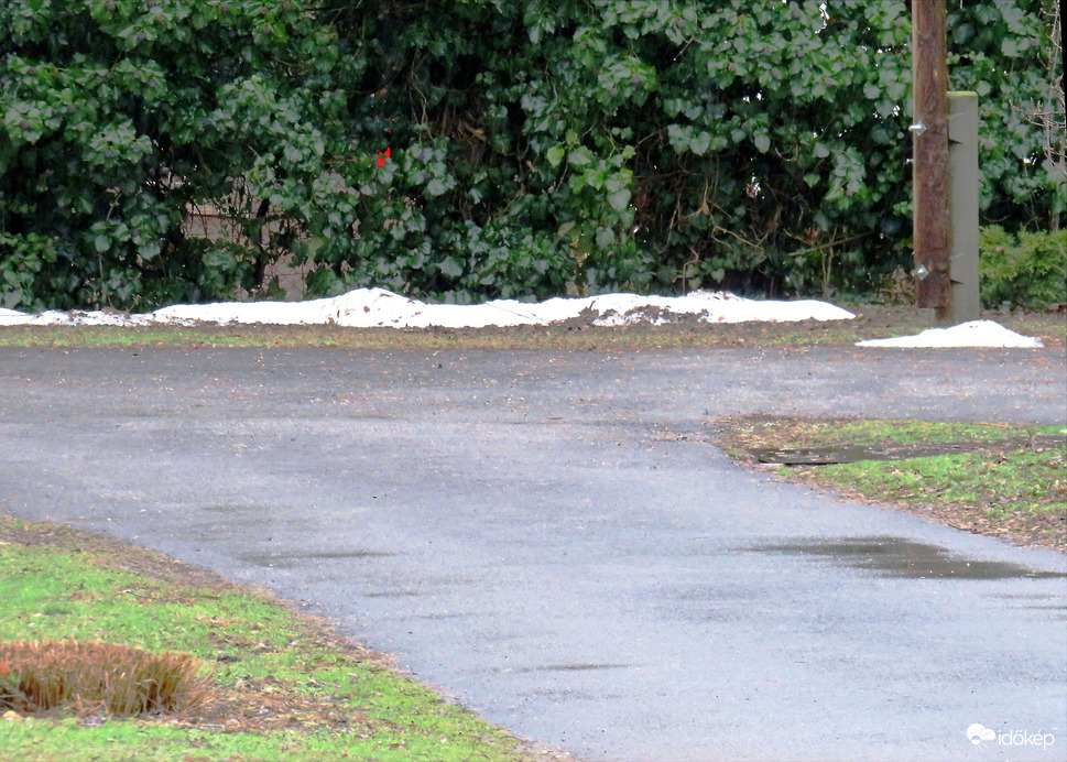 DÁNY, BYE BYE JANUÁR -- 2026 01 31 naplemente előtt