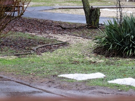 DÁNY, BYE BYE JANUÁR II -- 2026 01 31 naplemente előtt