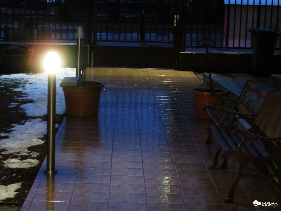 DÁNY, NEDVES VILÁG NAPKELTE ELŐTT -- 2026 02 05