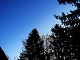 DÁNY, ELKÖSZÖN AZ ÉJSZAKA -- 2026 02 08