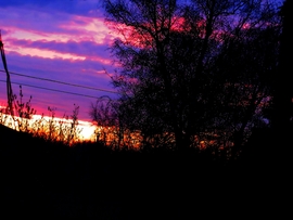 DÁNY, NAPKELTE  I. -- 2026 02 14