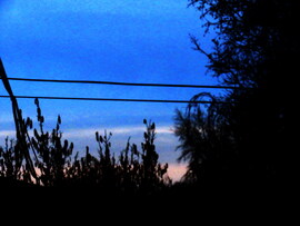 DÁNY, kb. 90 PERCCEL NAPKELTE ELŐTT A TÁVOLBAN