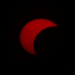 08. 12.: Éppen a horizont fölött