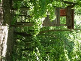 Vadászles