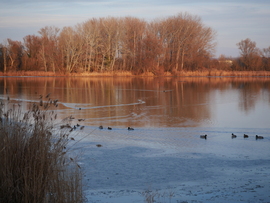 Újév a Naplás-tónál