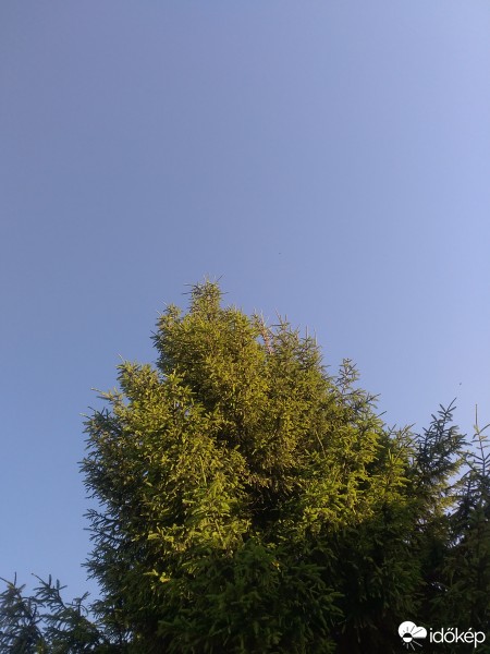 Nagymegyer