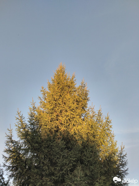 Nagymegyer