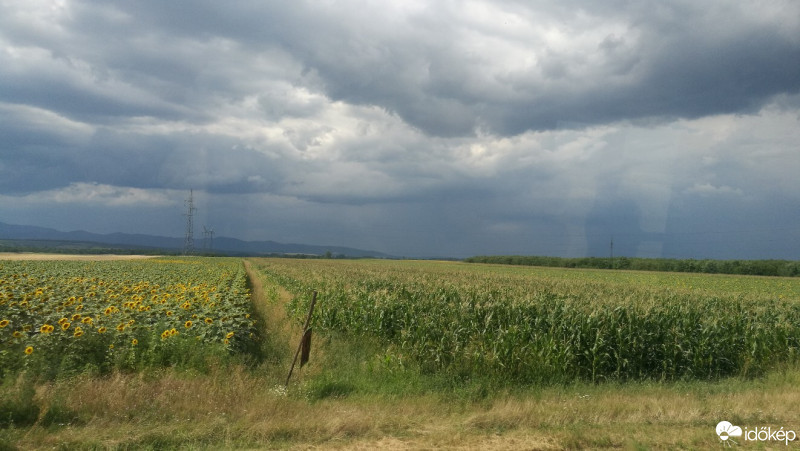 Siófok