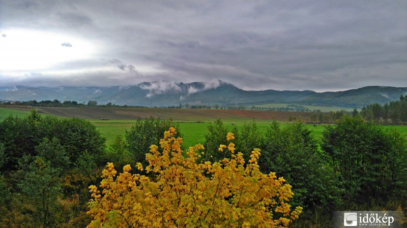 Mikófalva