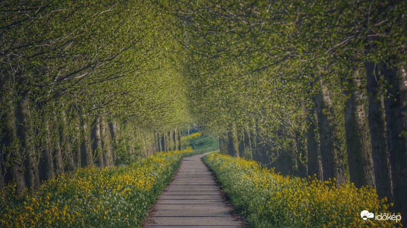 Tulpenroute