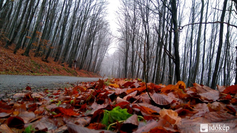 Ősz Decemberben