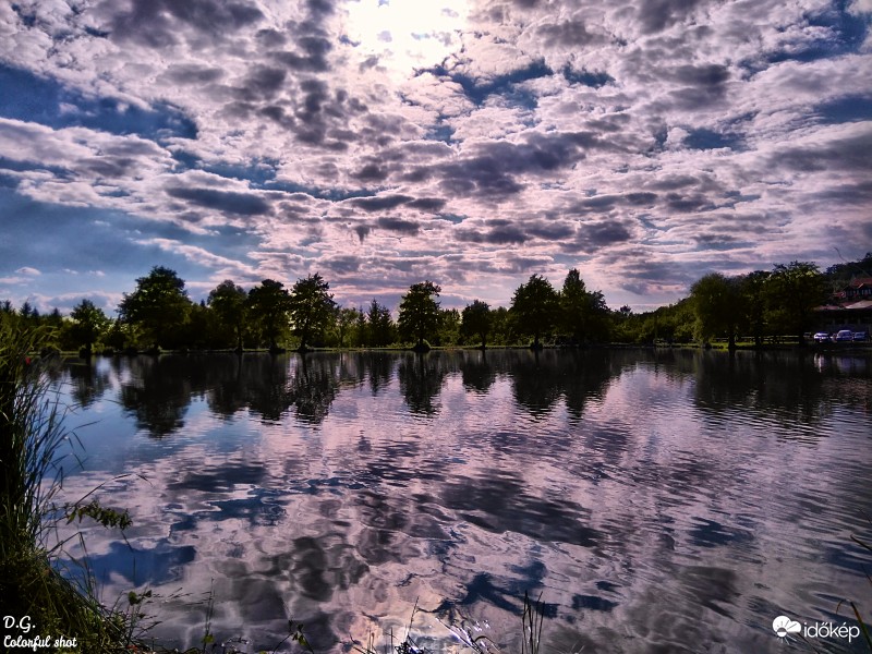 Reflections