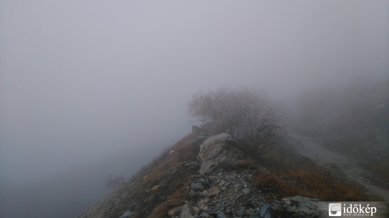 Sűrű Ködben