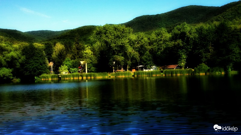 Friendly Summer