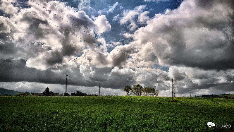 A változatosság ősze