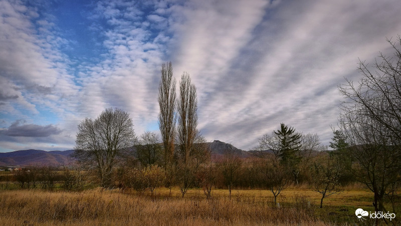 Egy jó szomszédnál
